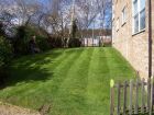 We maintained the &quot;grassed&quot; areas around a housing development and gradually turned it into a lawn!