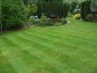 This is the same lawn in photo 9 less than six months later after a number of treatments and regular mowings